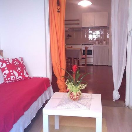 Apartment Bela Novigrad Istria Eksteriør bilde